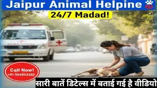 Doctors & CAST Team Jaipur Animal Helpline: CAST Sanstha aur Doctors Sarahniya Karya | Full Details