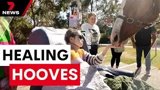 Retired racehorse brings healing moments of joy to patients at the Royal Children's Hospital | 7NEWS