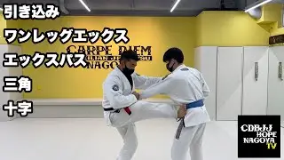 引き込み ワンレッグエックス エックスパス 三角 十字【柔術】【BJJ】