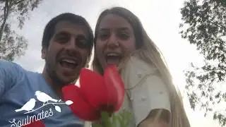 סרטון חתונה- טלי ויאיר