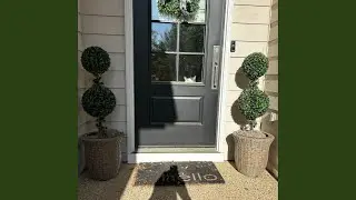 Feline Overlords