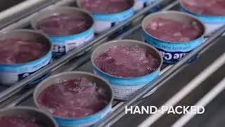 Safe Catch - Lowest Mercury of Any Brand