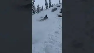 Absolutely split in half #powdersnow #falls #falling #crash #lookoutforrocks #powderski