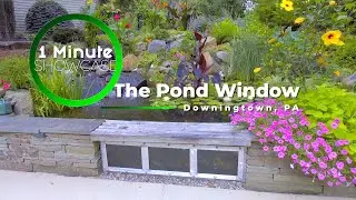 1 MINUTE SHOWCASE 12: Entryway Pond & The Pond Window in Downingtown, PA