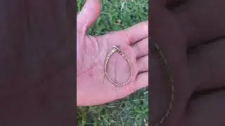 MINELAB EQUINOX 800 GOLD FOUND