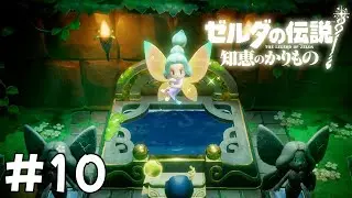 【ゼルダの伝説 知恵のかりもの】モグラと妖精の珍獣に出くわすゼルダ姫が知恵と冒険する#10