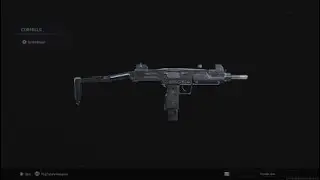 Dear IW, Nerf The OP Guns In MW.