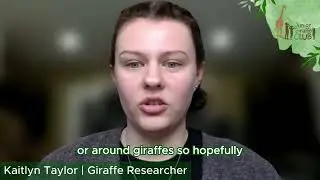 What Will Happen With Your Giraffe Research? Kaitlyn Shares What's Next
