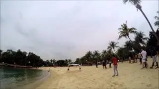 Free Flying Cum Parrot Gathering 05/04/2014 Sentosa Palawan Beach