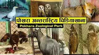 Exclusive पोखराको एकमात्र चिडियाखान हेर्नुस POKHARA ZOOLOGICAL PARK | SamayaNepal | Pokhara Lockdown