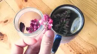 Wild Flower Tea - flowering currant blossoms