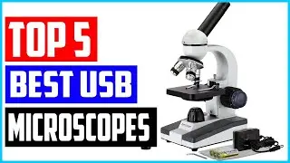 Top 5 Best USB Microscopes In 2022
