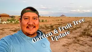 Garden & Fruit Tree Update