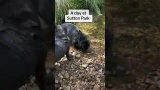 A day at Sutton Park