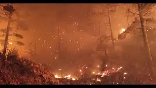 MERSİN'DE ORMAN YANGINI! ALEVLERLE M&Uuml;CADELE ANLARI / FOREST FIRE, FIRE FIGHTING IN TURKEY