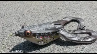 The Savage Gear 3D Frog, Crazy Lifelike Action!