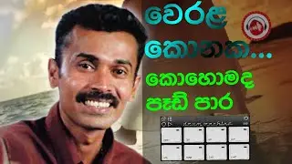(🎧Use headphones🎧//Play octapad/Werala konaka/Drum machine/Play mobile phone/Sri lanka/