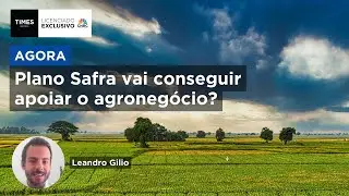 Indefini&ccedil;&otilde;es no Plano Safra geram preocupa&ccedil;&atilde;o no agro; professor do Insper repercute
