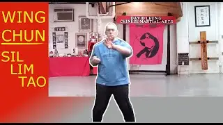 Wing Chun Sil Lim Tao