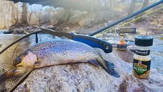 From River to Plate! (Catch and Cook)