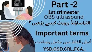 Part -2 1st trimester imp ultrasound terms|OBS ultrasound report kasy parhan? |for LHV's |pregnancy