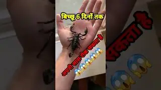 Amazing Facts 5 #viral #trending #hindi #facts #science #mystery #2024 #shorts #status