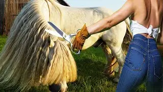 AFTER YEARS Without Care&hellip; This Horse Finally Sees Again! 🐎✨