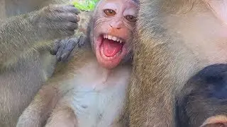 OMG- Around Screaming Loudly Till Convulsive,Asia Angry Mum Seriously Coz Hungry Milk, Sadness