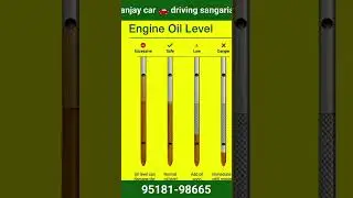 Sanjay car driving sangaria