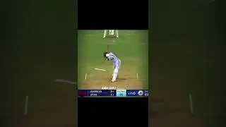 Yorkers from the hell ☠️. #shorts #viralshorts #indvwi
