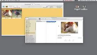 Photo Pixel Resizer for Mac