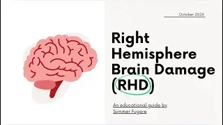 An Educational Guide About Right Hemisphere Brain Damage (RHD)
