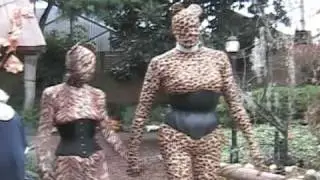 Milwaukee Kitties II