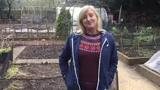 Ask the Gardener Facebook Live - recorded Friday 15 Jan 2021