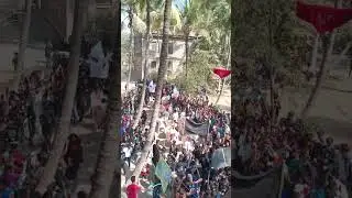 FERGUSSON COLLEGE PUNE FEST RALLY DAY #fergussoncollege #vibes #fest #viral #festival #pune #dhol