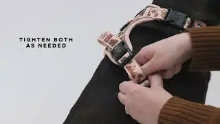 How To: Use a Sassy Woof Adventure Harness