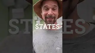 I want to build a troll in each state of the USA #thomasdambo #wastenomore #dambotrolls🤠