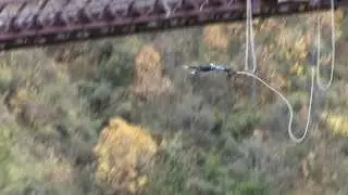 Option A - Acceleration of a Bungy Jump