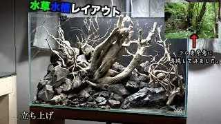 水草水槽レイアウトに行き詰まり感じてます。後編　立ち上げ