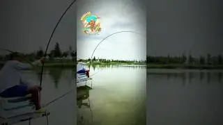 THE TASTE IS ADDICTIVE #fishing #pesca