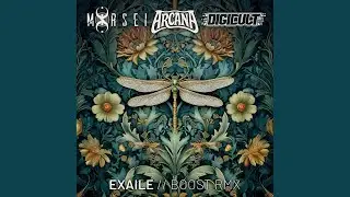 Boost (Arcana, Digicult & MoRsei Remix)