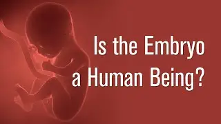 Is the Embryo a Human Being?