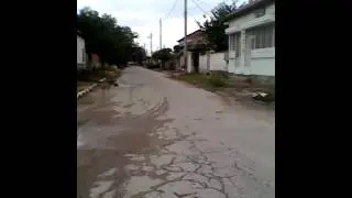 Gonene na kuche