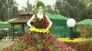 Flowers in full bloom at Baghdad festival