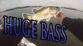 Catching GIANTS During The Herring Spawn (Crazy!) Bass Fishing Lake Murray 2019