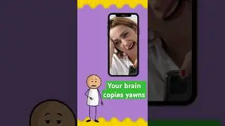 Why is Yawning Contagious? #shorts #youtubeshorts #facts #stickman #knowledge #didyouknow