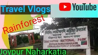 জয়পুৰ (Joypur) | Rainforest | Dibrugarh | Assam | modon Nath