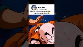 *Krillin bien &eacute;videment.. (comme dab) 😅