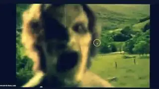How To Avoid Screamers SOLO:LAAAAALLOOLOOLOOOLOL OHOHO
