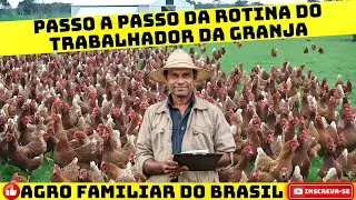 A ROTINA DO AVICULTOR: Rotina Diária na Granja: Lista de Tarefas a Serem Cumpridas.